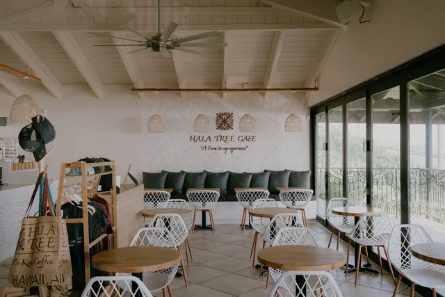 Hala Tree Cafe