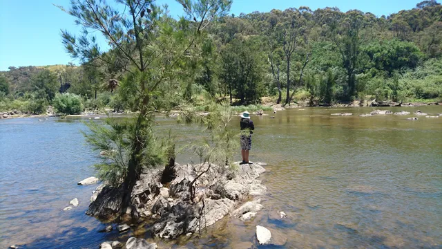 Uriarra East Picnic Area