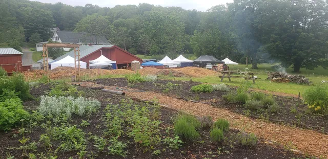 Z Botanicals Apothecary & Radicle Folk Collective