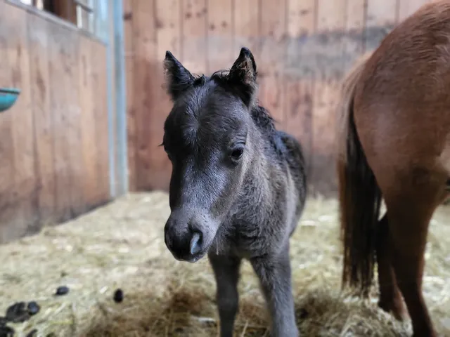 Saumerhof Fam. Trinker