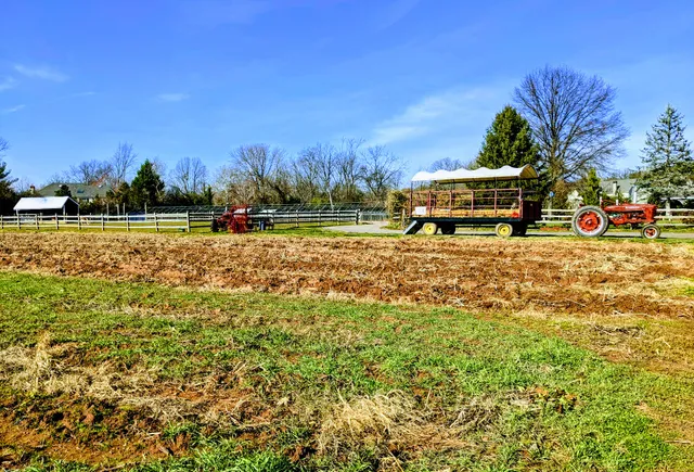 Maple Acres Farm Market