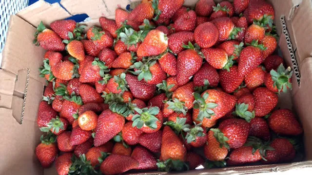 Paletería y Nevería La Divina Providencia