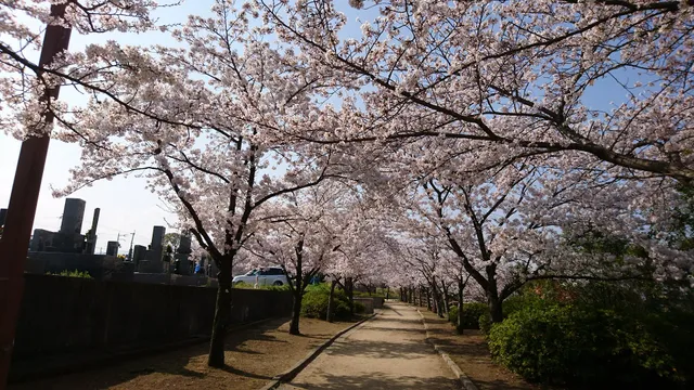 Danbara Park