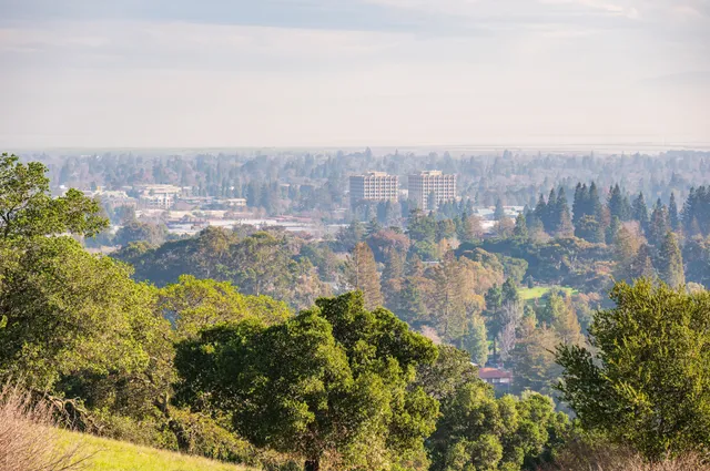 Wilcox Solar Observatory