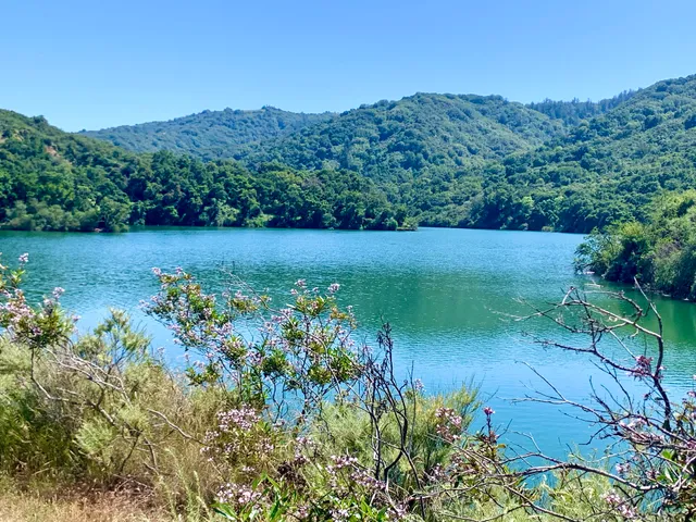 Stevens Creek Reservoir