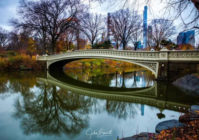 Wood Chip Vantage Point