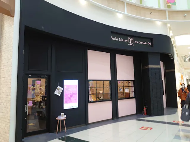 Cat Cafe Puchi Marry AEON MALL KAHOKU
