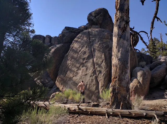 Holcomb Valley Pinnacles