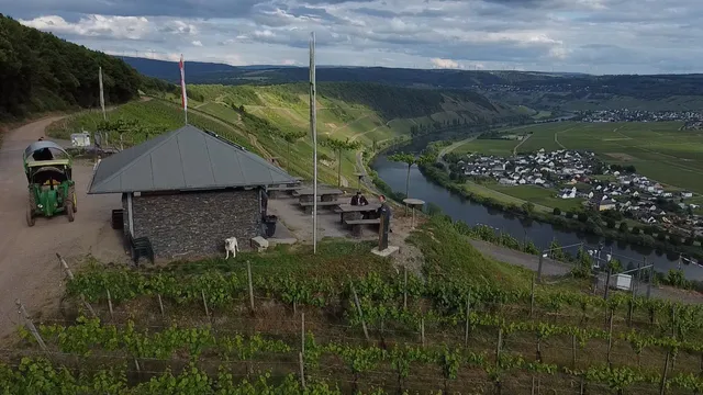 Degenhof, Weingut, Ferienwohnung