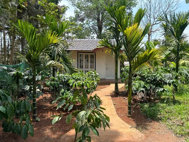 NATURE VIEW HOMESTAY