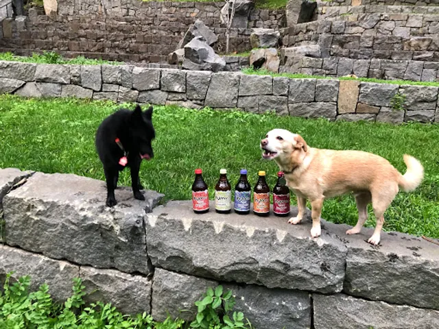 Dog Park | Pine Lake Park