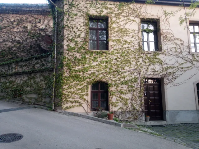 Vadszőlő Apartman