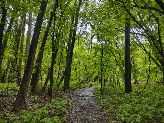 Crosby Farm Regional Park