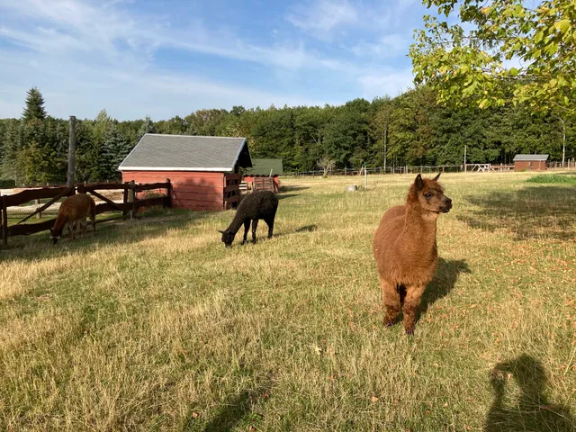Höckendorfer Heide e.V. Zoo