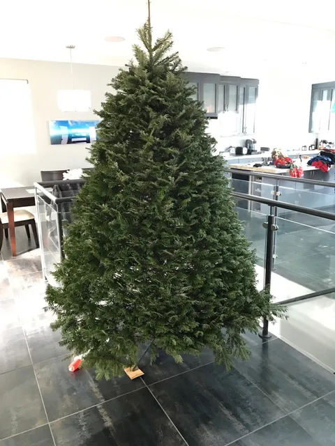 Pinery Christmas Trees