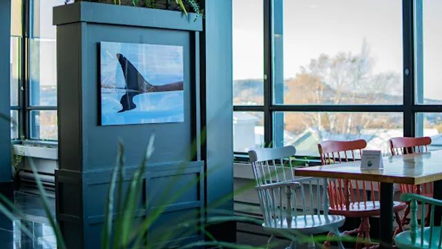 Stellar Kitchen @ Clarenville Inn