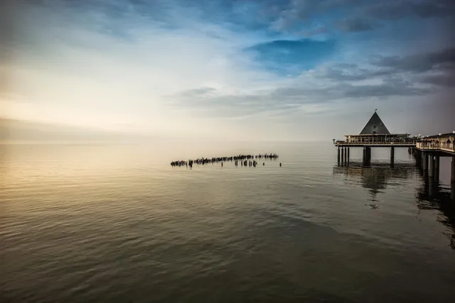 Villa Franz | Ferienwohnungen in Heringsdorf