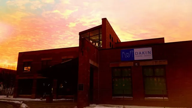 Dakin Humane Society