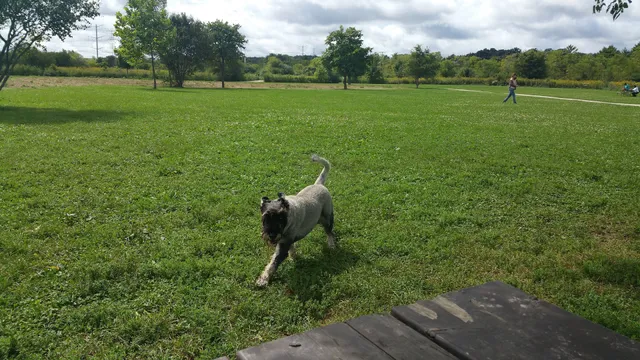 Greene Valley Dog Park