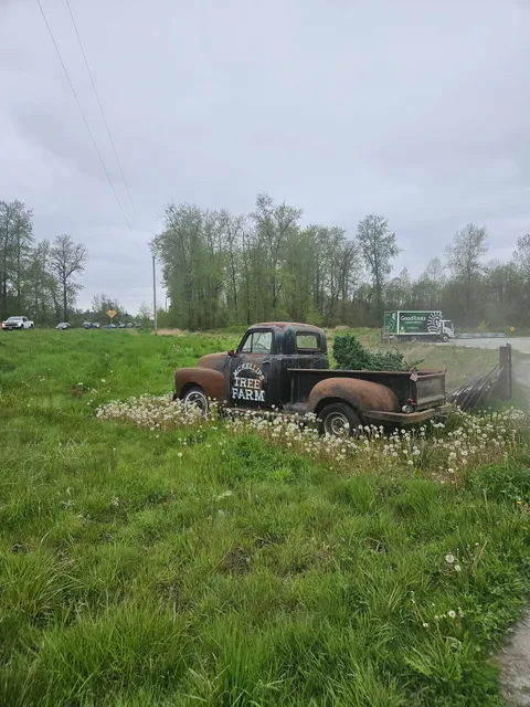 The Roots Collective Farm (Buckley, WA)