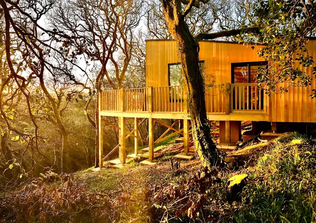 Wrinklers Wood Glamping - Glamping in Cornwall