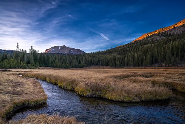 Upper Kings Creek Meadow