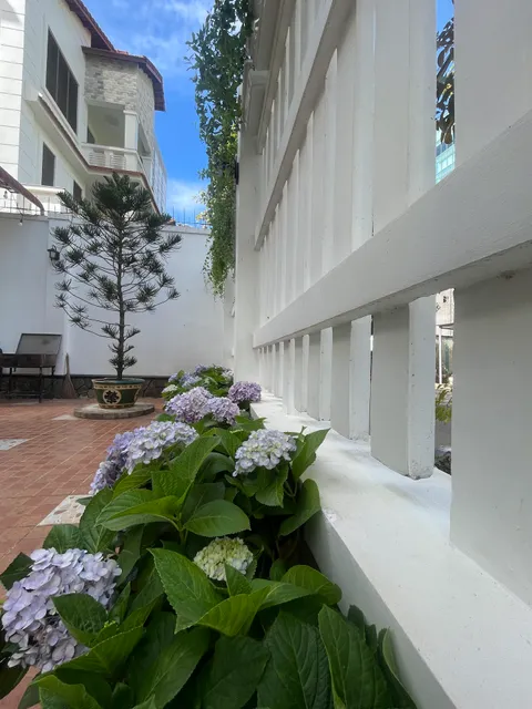 Kegotel Villa Bãi Sau - Central 01