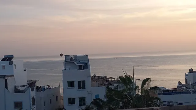 Oasis surf house hostel