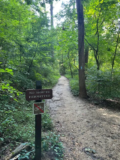 Rock Creek Trail Juniper Trailhead