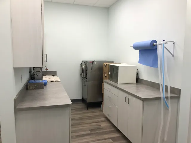 Specialists in Companion Animal Neurology (SCAN) - Clearwater