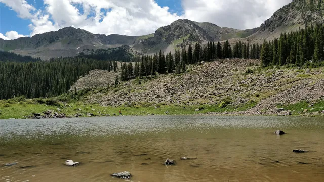 Carson National Forest