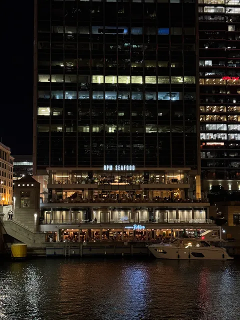 Tiny Tapp & Tiny Café