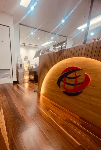 Professional Visa and Education Services