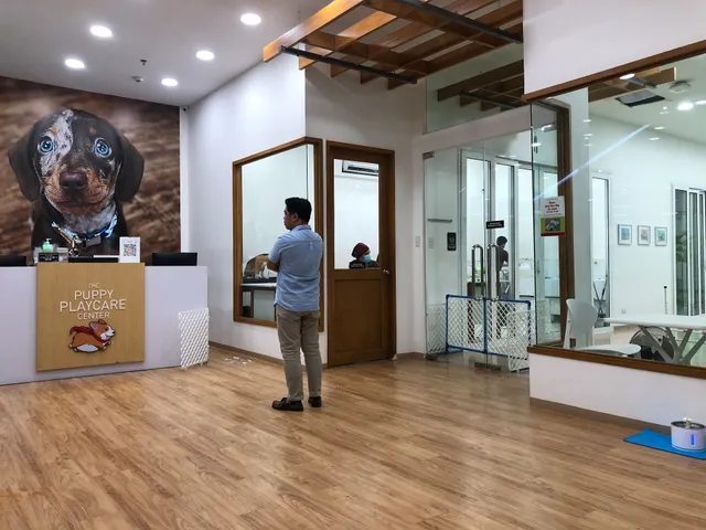 The Puppy Playcare Center