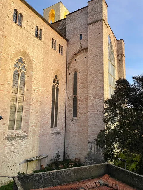 Il nido del canterino