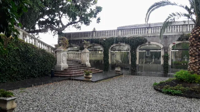 photo-1