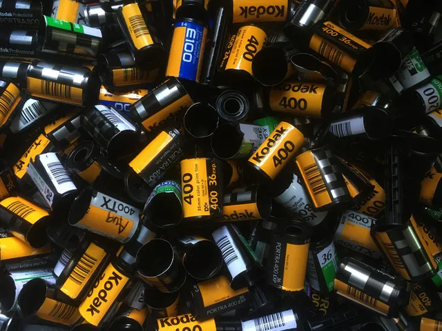 pink folder film house + bedstuy darkroom