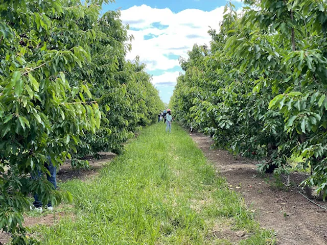 G&S Farms Upick Packing Shed