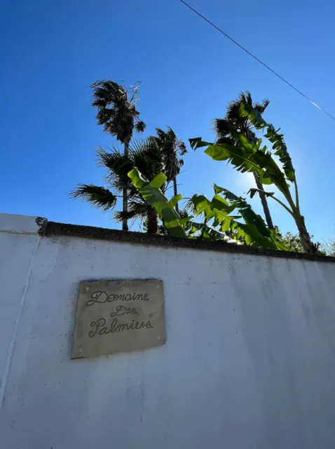 Domaine des Palmiers