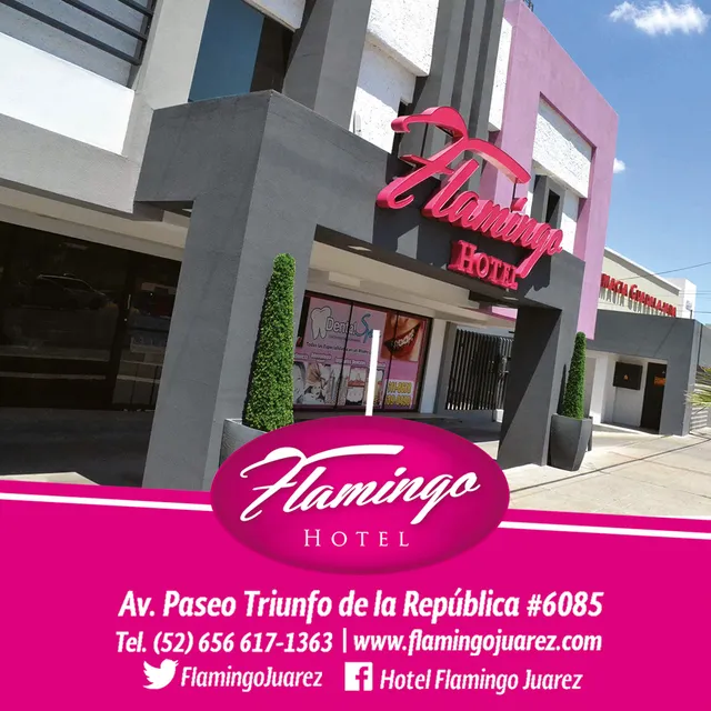 Hotel Flamingo - Hotel Cd Juárez