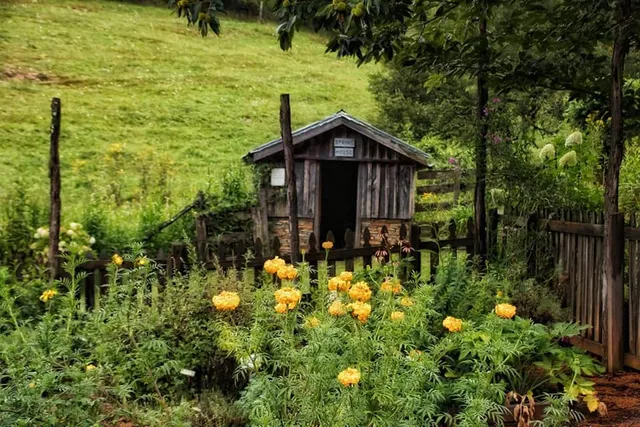 Matthews Living History Farm Museum