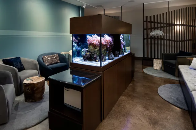 Still Point Wellness Float and Massage Spa