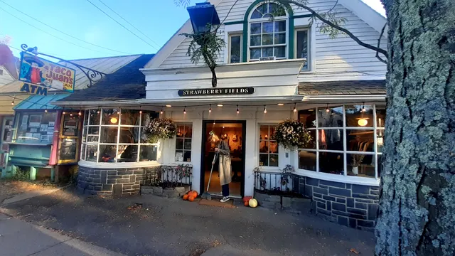 STRAWBERRY FIELDS WOODSTOCK