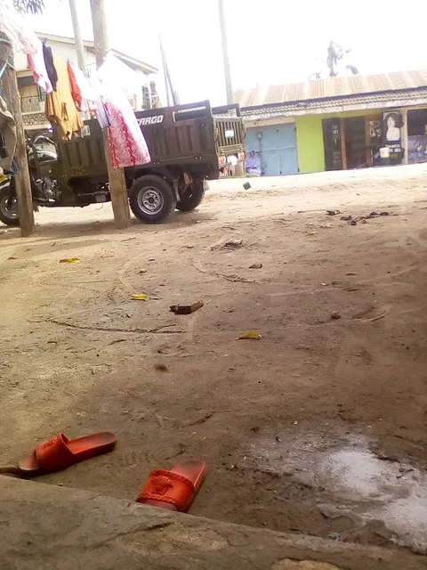 Hammy's Executive Lodge