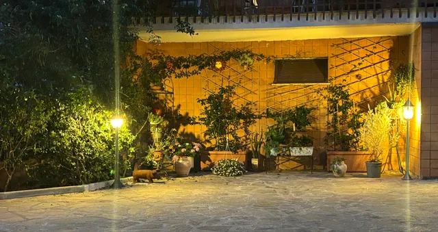 The Sunny Corner - La Casa Del Sole