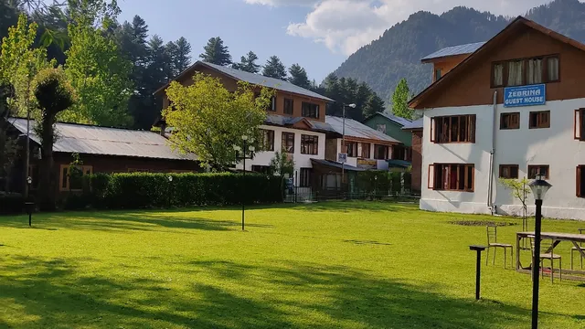 Zebrina Pahalgam
