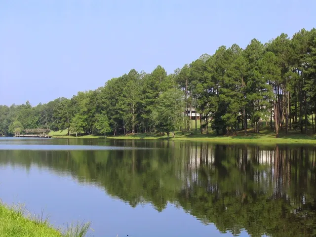 Springville Camp & Conference