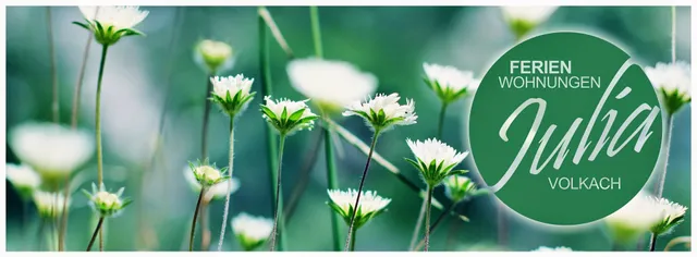 Ferienwohnungen Julia Volkach