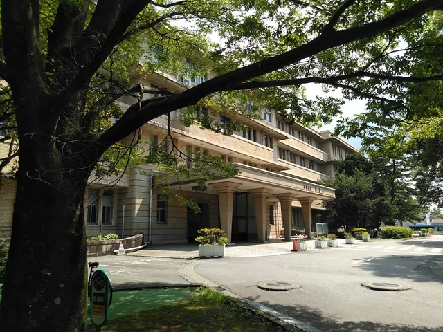 Chiba University School of Medicine