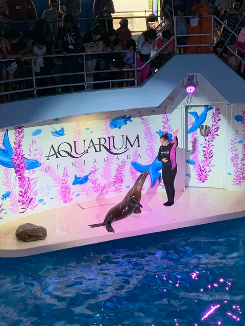 Aquarium of Niagara: Great Lakes 360